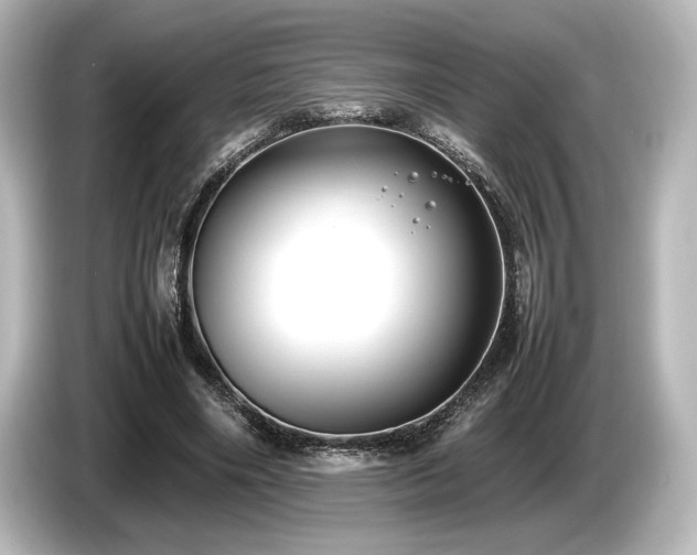 X0000085730490200703161009