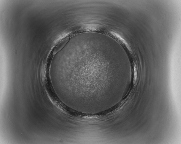 X0000085730492200703161009