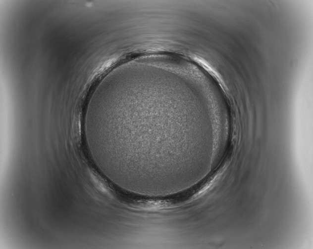 X0000085730493200703161009