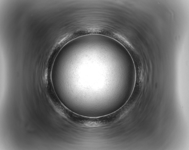 X0000085730494200703161009