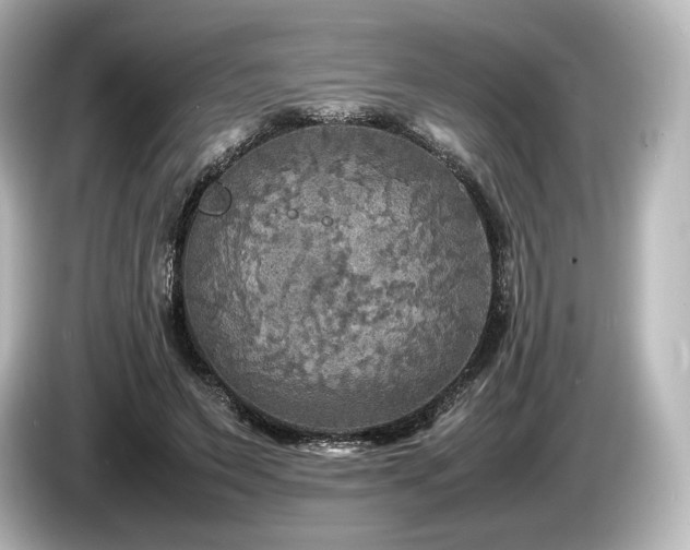 X0000085730495200703161009