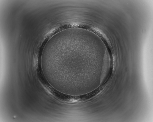 X0000085730496200703161009