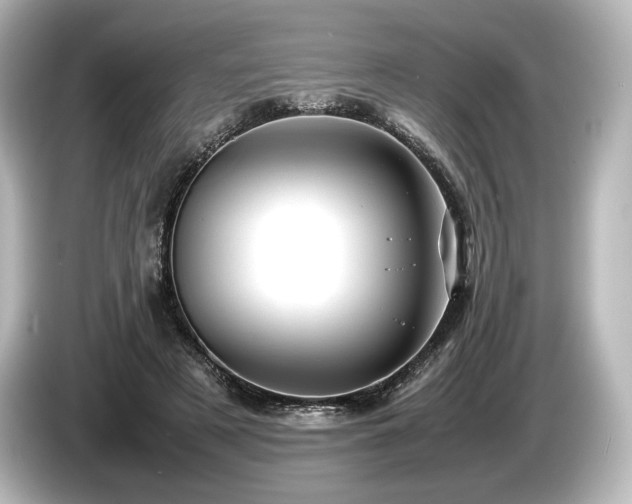 X0000085730497200703161009