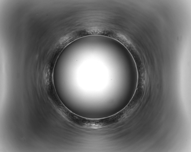 X0000085730498200703161009