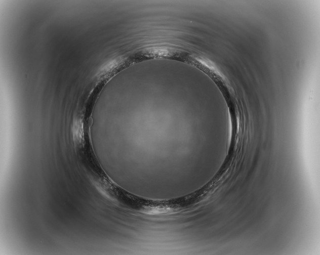 X0000085730500200703161009