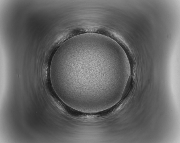 X0000085730501200703161009