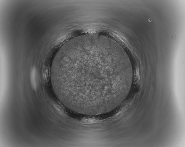 X0000085730503200703161009