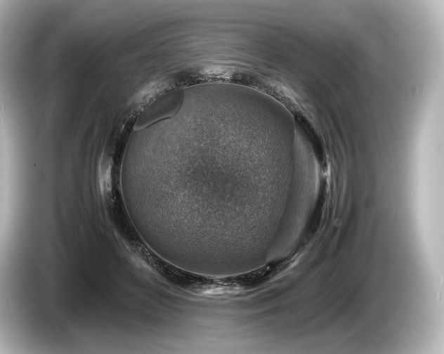 X0000085730504200703161009