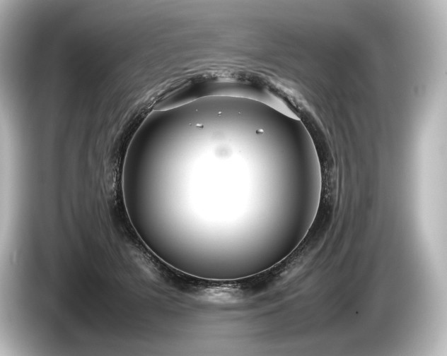 X0000085730505200703161009