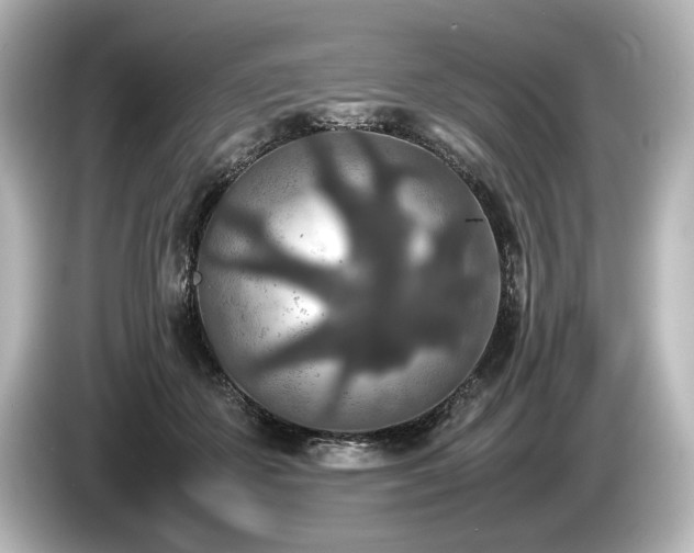 X0000085730507200703161009