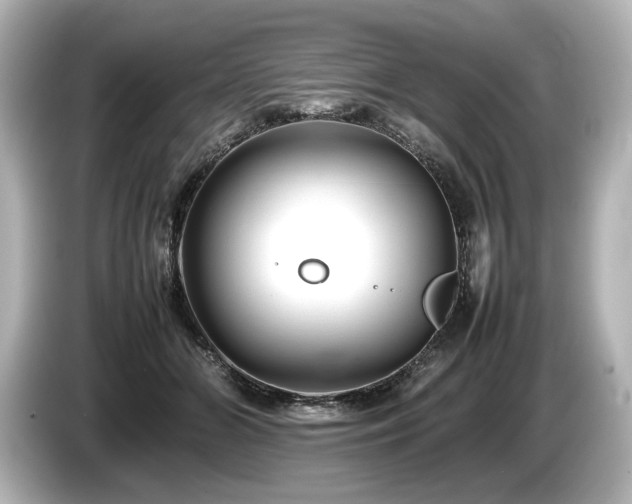 X0000085730510200703161009