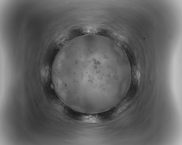 X0000085730511200703161008