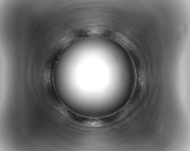 X0000085730514200703161008