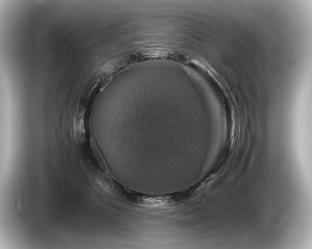 X0000085730516200703161008