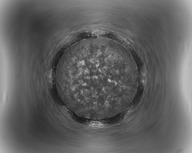 X0000085730519200703161008