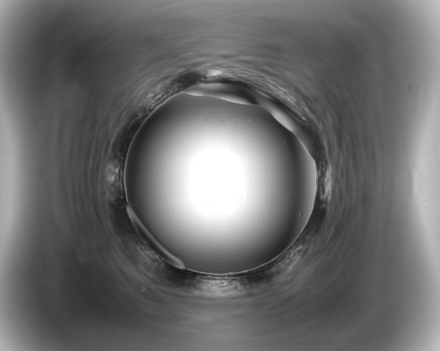 X0000085730521200703161008