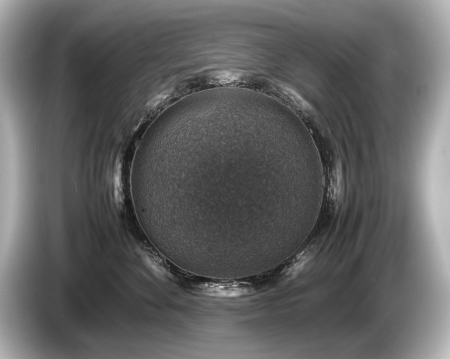 X0000085730524200703161008