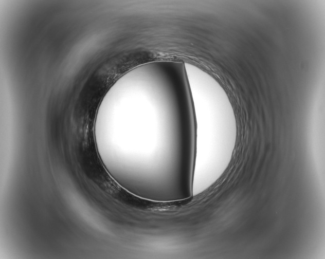 X0000085730525200703161008