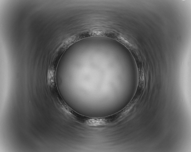 X0000085730526200703161008