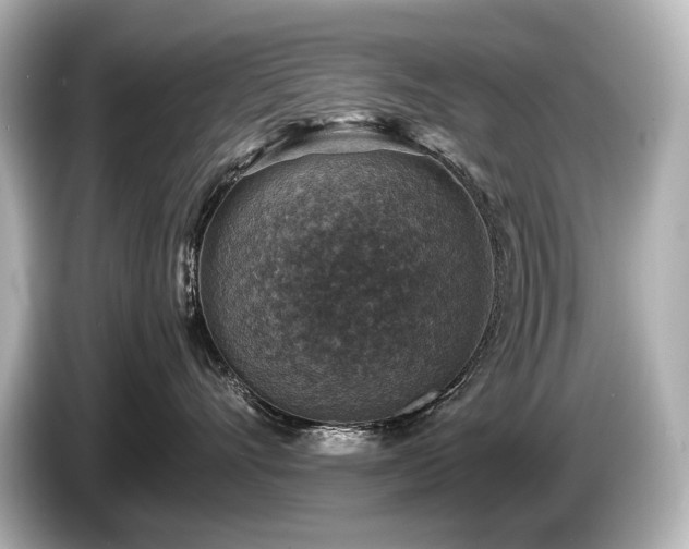 X0000085730528200703161008