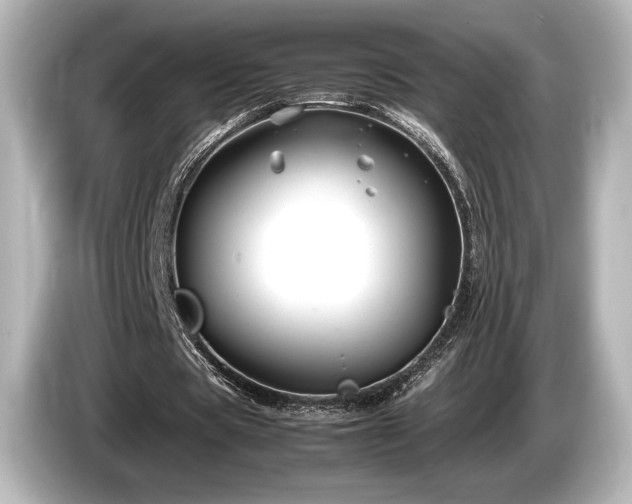 X0000085730529200703161008