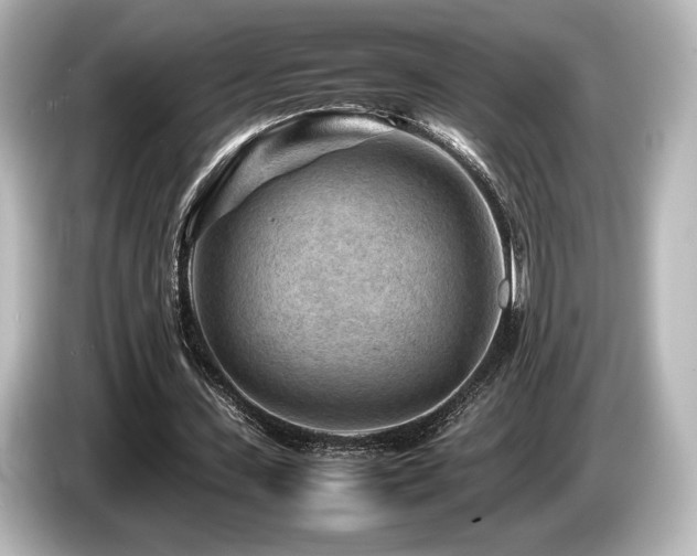 X0000085730531200703161008