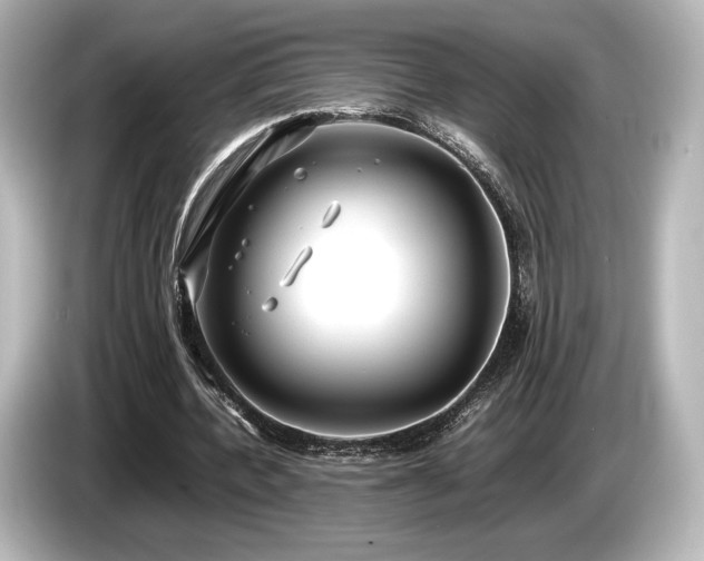 X0000085730532200703161008