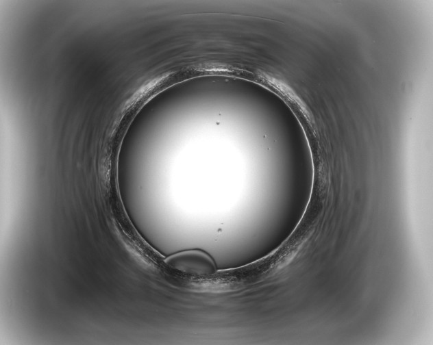 X0000085730533200703161008