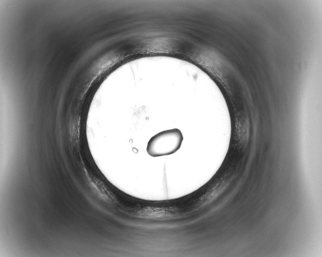 X0000085730534200703161008