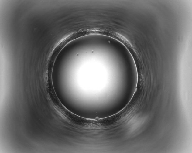 X0000085730535200703161008