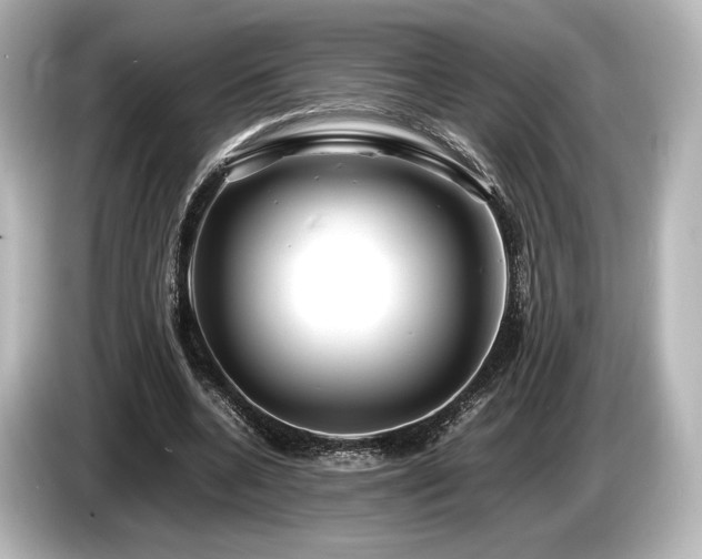 X0000085730536200703161008