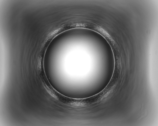 X0000085730537200703161008