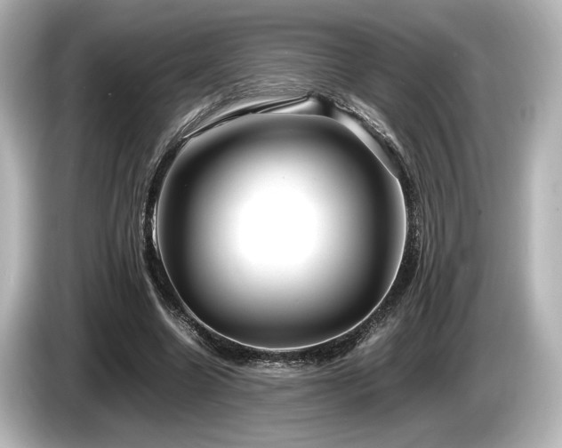 X0000085730538200703161008