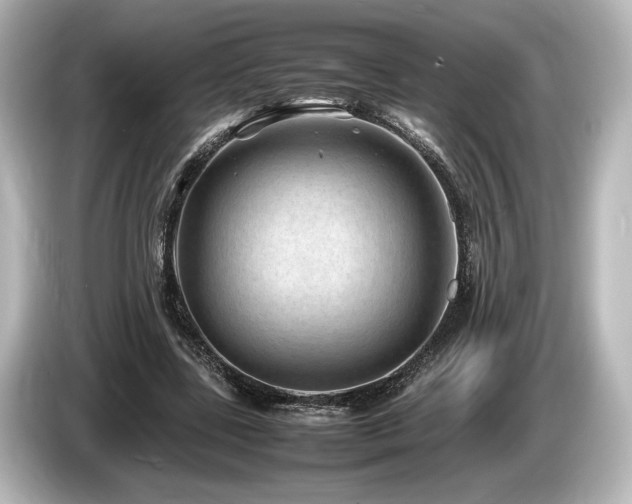 X0000085730539200703161008