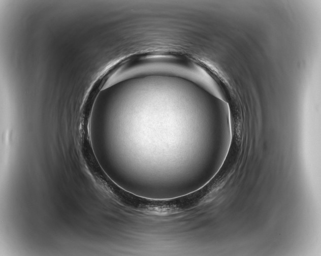 X0000085730540200703161008