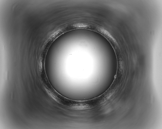 X0000085730541200703161008