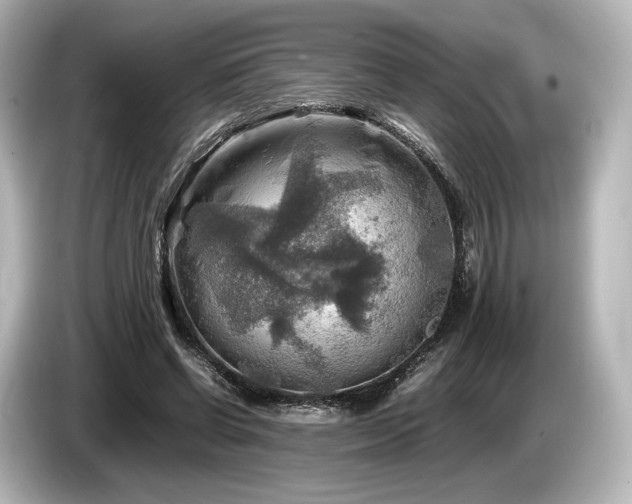 X0000085730542200703161008