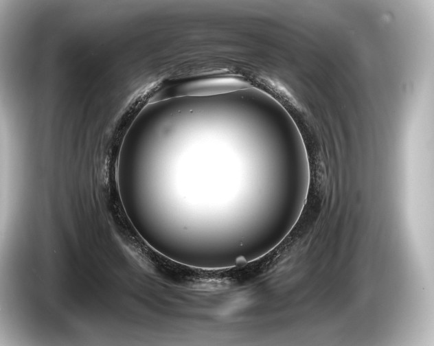 X0000085730543200703161008