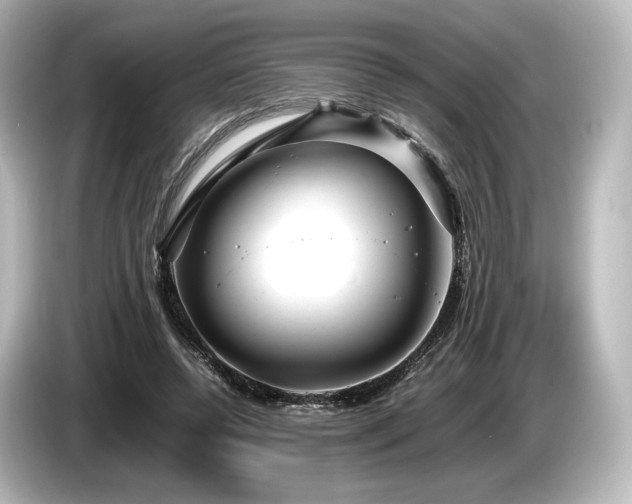 X0000085730544200703161008