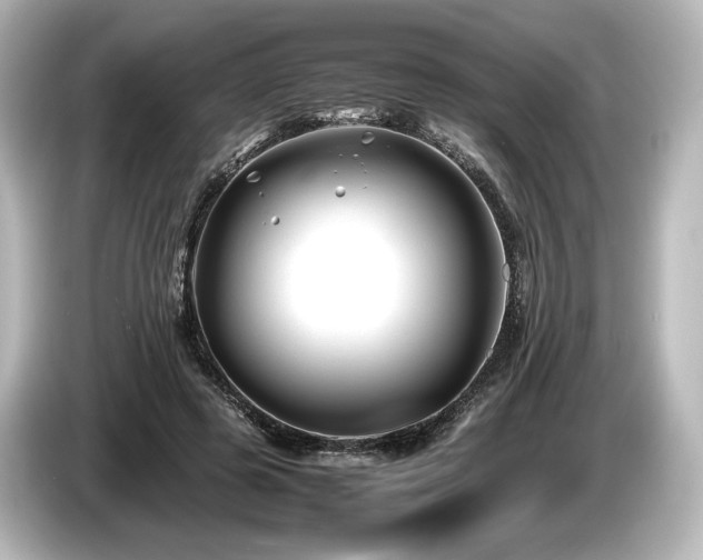 X0000085730545200703161008