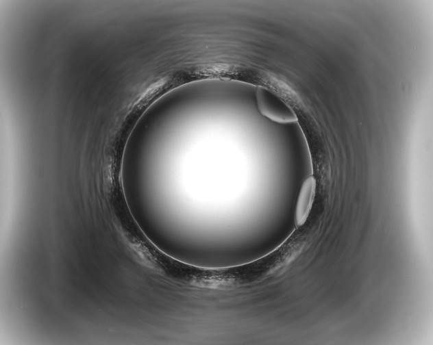 X0000085730546200703161008