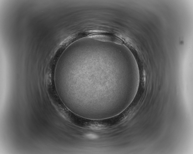 X0000085730547200703161008