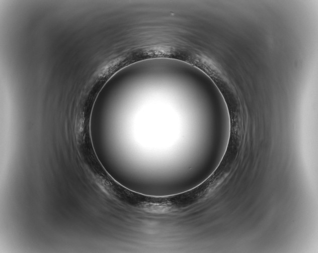 X0000085730548200703161008