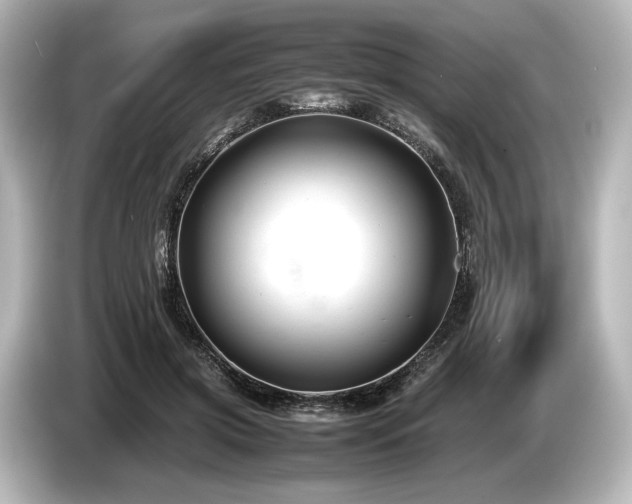 X0000085730549200703161008