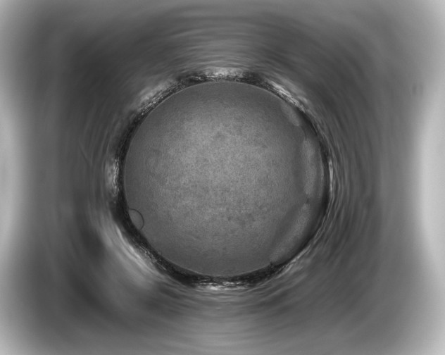 X0000085730550200703161008