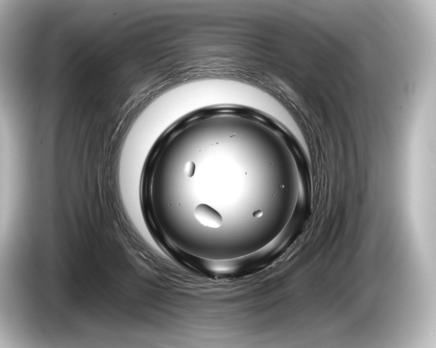 X0000085730552200703161008