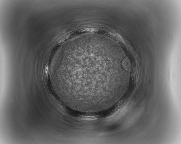 X0000085730553200703161008