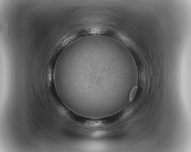 X0000085730554200703161008