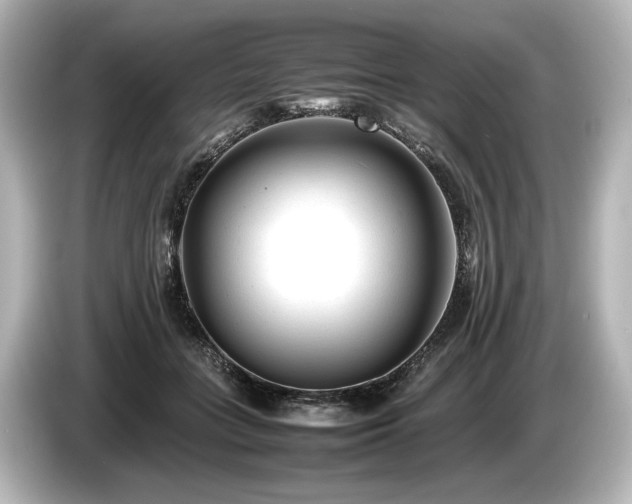 X0000085730555200703161008