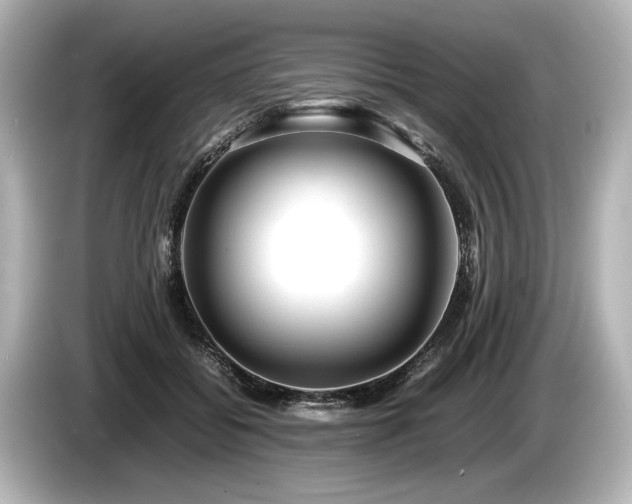 X0000085730556200703161008